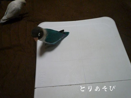 e0147757_2035169.jpg