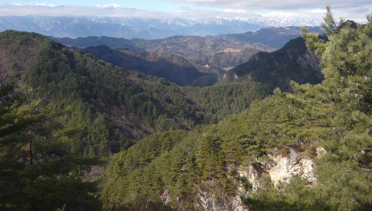 c0140260_33671.jpg