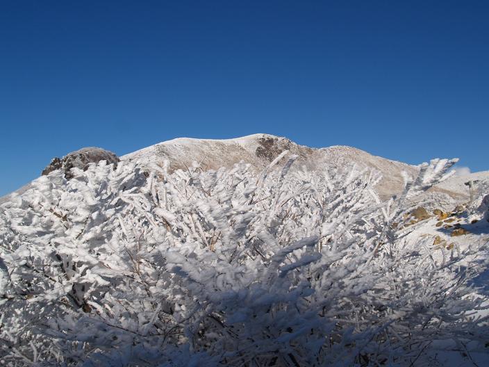 由布岳、九重へ新春登山（その２）_f0016066_9483290.jpg