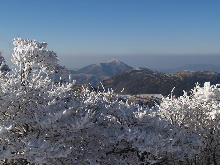 由布岳、九重へ新春登山（その２）_f0016066_9514880.jpg