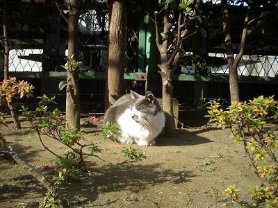 炊き出しボランティア日記’09-’10越年越冬増刊号Vol6_f0021370_165581.jpg