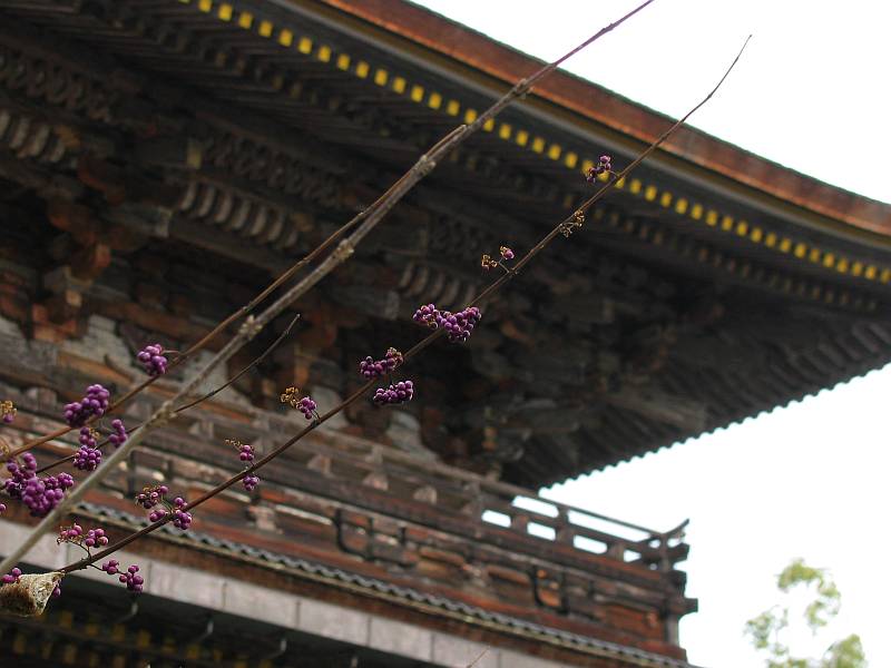 ツールド神社 3日目_d0036883_17122440.jpg