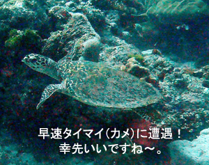☆★☆年越しクルーズ2009~2010☆★☆_f0144385_9334691.jpg