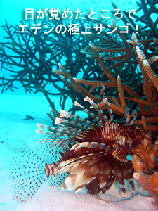 ☆★☆年越しクルーズ2009~2010☆★☆_f0144385_9343668.jpg