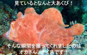 ☆★☆年越しクルーズ2009~2010☆★☆_f0144385_9345976.jpg