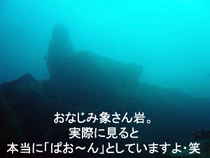 ☆★☆年越しクルーズ2009~2010☆★☆_f0144385_9352595.jpg