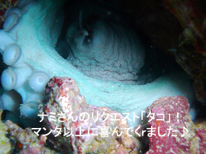 ☆★☆年越しクルーズ2009~2010☆★☆_f0144385_9355263.jpg