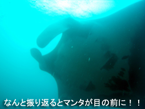☆★☆年越しクルーズ2009~2010☆★☆_f0144385_9364087.jpg
