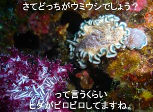 ☆★☆年越しクルーズ2009~2010☆★☆_f0144385_9404490.jpg