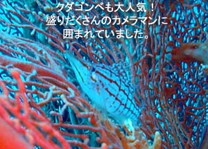 ☆★☆年越しクルーズ2009~2010☆★☆_f0144385_9411596.jpg