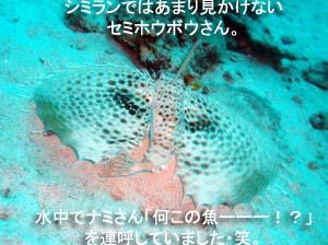 ☆★☆年越しクルーズ2009~2010☆★☆_f0144385_9425328.jpg