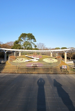 冬の風景～富士市中央公園の\"逆さ富士\"と\"霜\"_c0160488_19575293.jpg