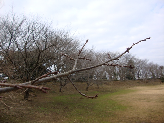 頑張ったの、私。_a0126590_23334649.jpg