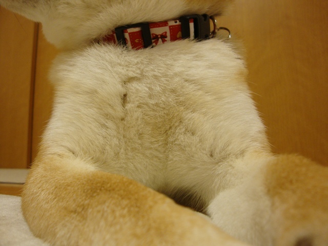 頑張ったの、私。_a0126590_23362140.jpg
