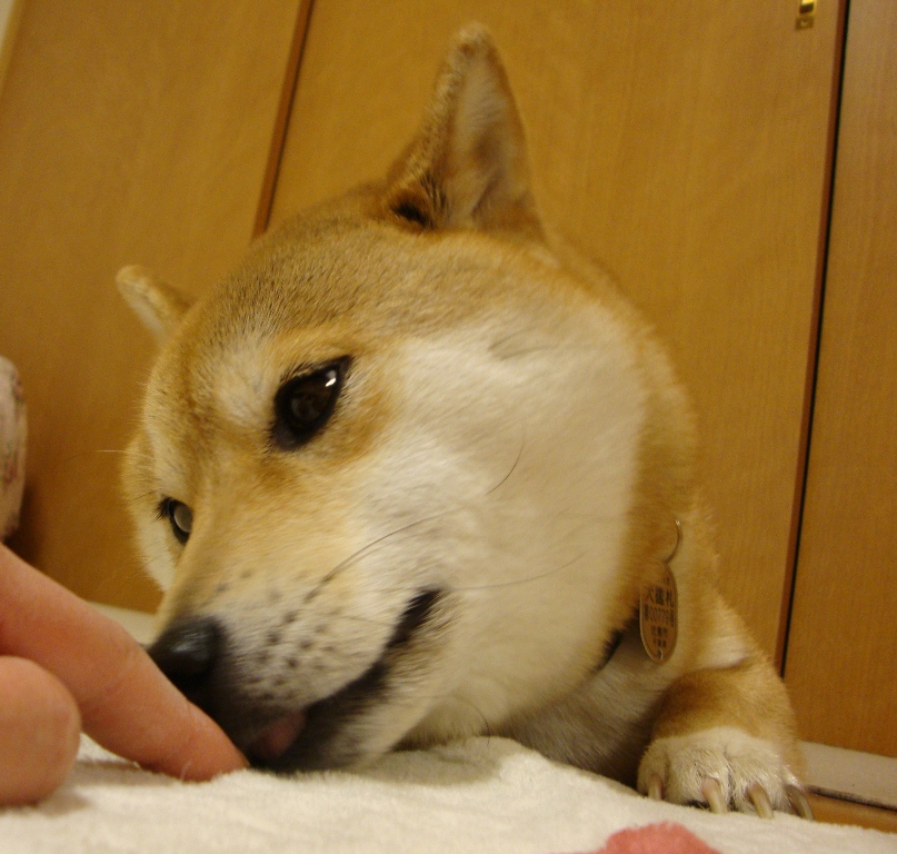 頑張ったの、私。_a0126590_23404744.jpg
