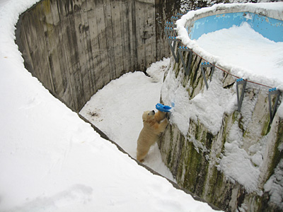 冬zoo4_b0055196_1715284.jpg