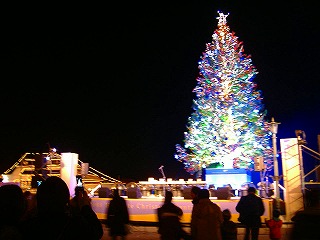 c0107997_31144.jpg