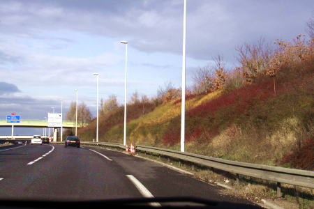 c0090198_1593265.jpg