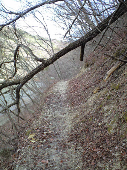 a0124105_10374826.jpg