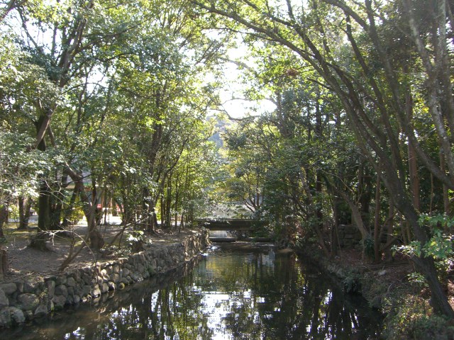 a0088007_21291571.jpg