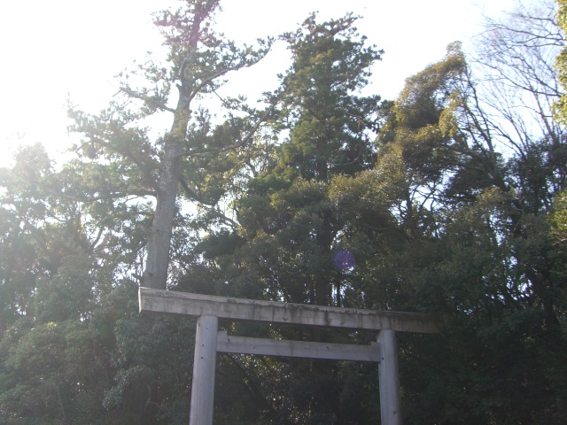 a0088007_21295233.jpg