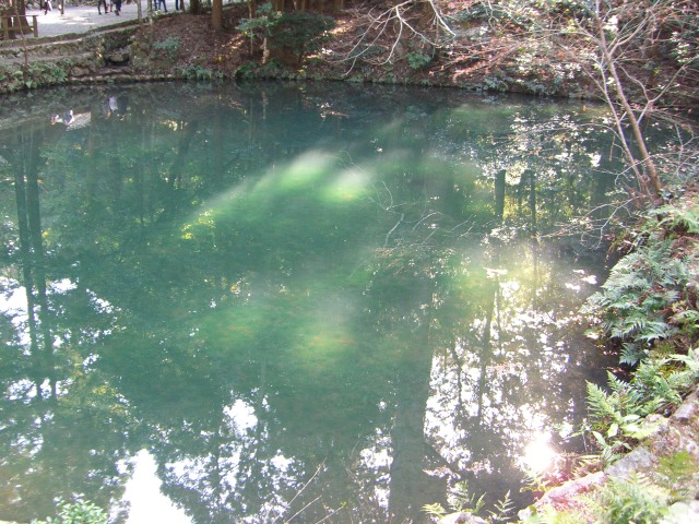 a0088007_21305171.jpg
