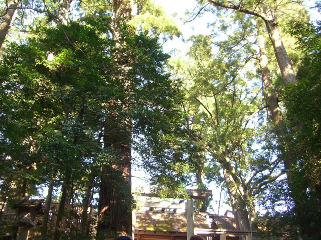 a0088007_21471014.jpg