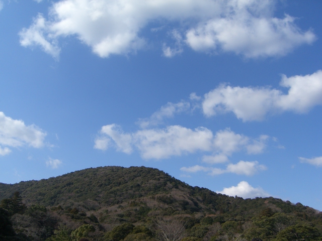 a0088007_21474081.jpg