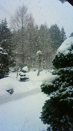f0128409_1231246.jpg