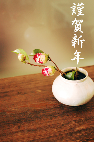2010年おめでとうございます_d0023111_9141880.jpg