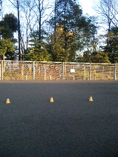 c0149013_059166.jpg