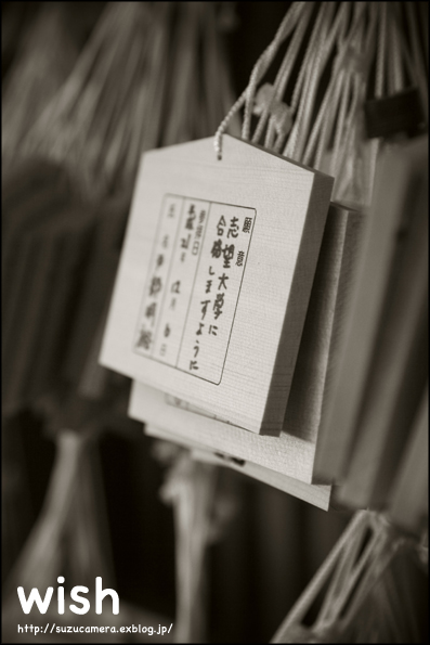 合格祈願_f0100215_0183474.jpg