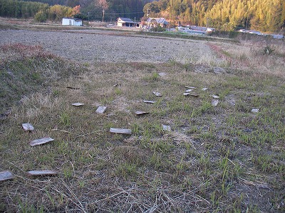 b0181417_2202811.jpg
