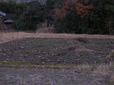 b0181417_226458.jpg