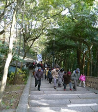 b0019820_16222744.jpg