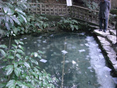 a0137223_22475230.jpg