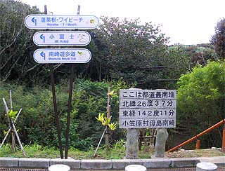 母島滞在記_e0050226_22122565.jpg