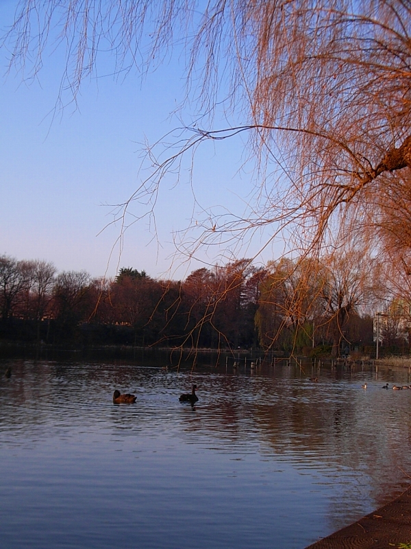 c0153732_8145422.jpg