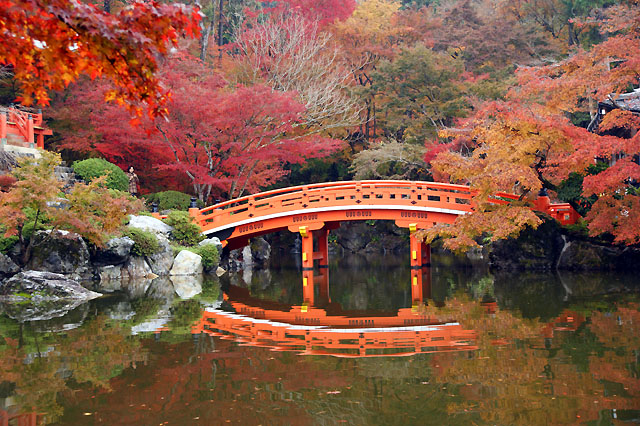 京都　醍醐寺_f0114041_17464598.jpg