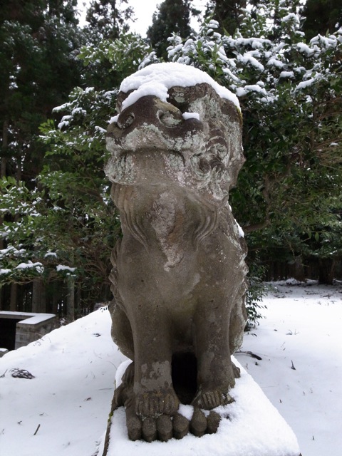 雪が積もってますます愛嬌_d0057843_2005875.jpg