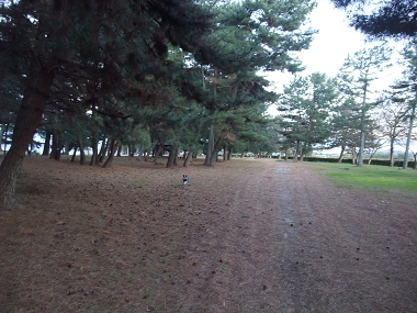 e0126046_1484563.jpg