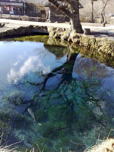 日本の風景（忍野） in 日本　２０１０年１月５日（火）_e0195952_21151588.jpg