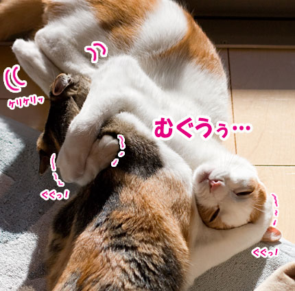a0119470_0474169.jpg