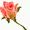 c0201080_1750822.gif