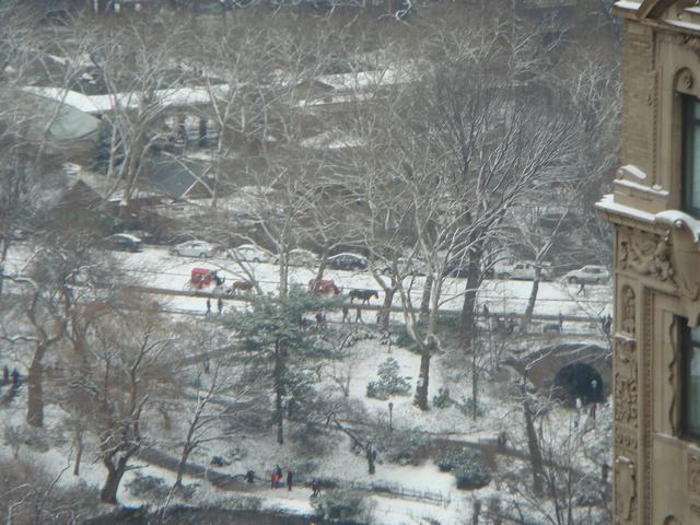 謹賀新年_d0100880_53642.jpg