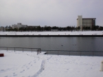 c0081883_9213222.jpg