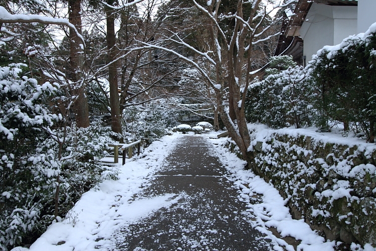 雪の宝泉院_e0051888_2051471.jpg