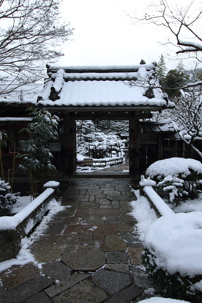 雪の宝泉院_e0051888_2053612.jpg