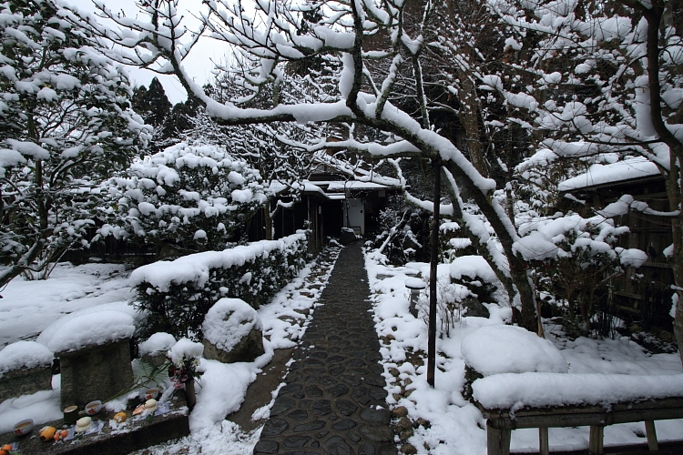 雪の宝泉院_e0051888_2055029.jpg