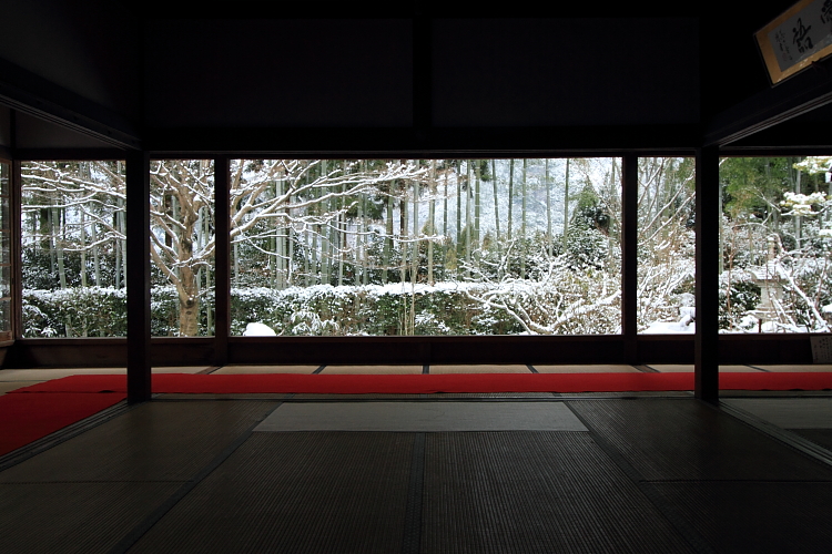 雪の宝泉院_e0051888_2061953.jpg